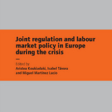 Cover of Joint regulation and labour market policy in Europe during the crisis